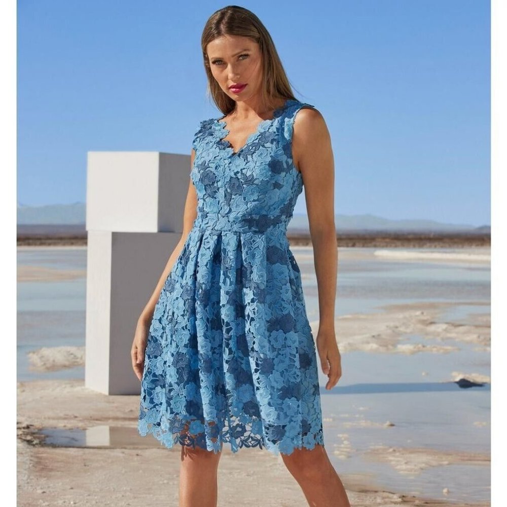 BOSTON PROPER FIT AND FLARE LACE DRESS SIZE: 4
